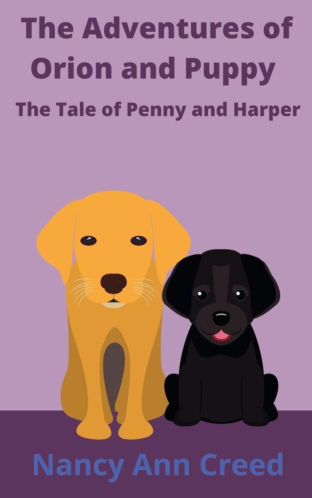 The Adventure of Orion and Puppy
