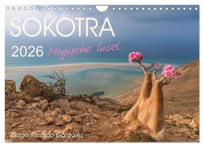 SOKOTRA - Magische Insel (Wandkalender 2026 DIN A4 quer) CALVENDO Monatskalender