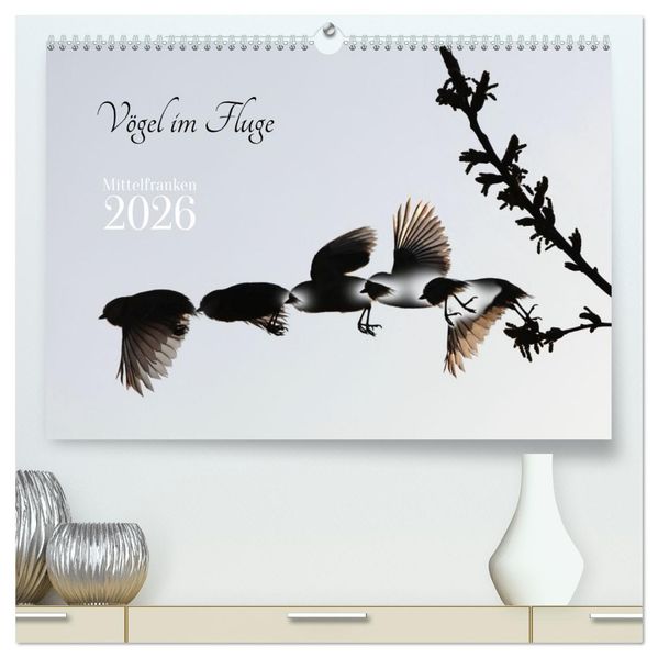 Vögel im Fluge (hochwertiger Premium Wandkalender 2026 DIN A2 quer) Kunstdruck in Hochglanz