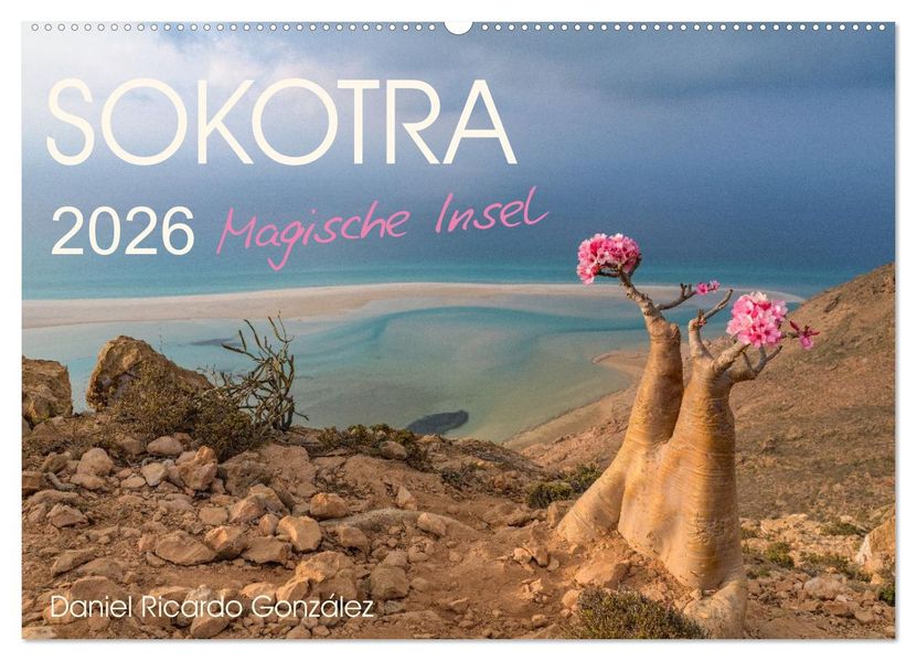 SOKOTRA - Magische Insel (Wandkalender 2026 DIN A2 quer) CALVENDO Monatskalender