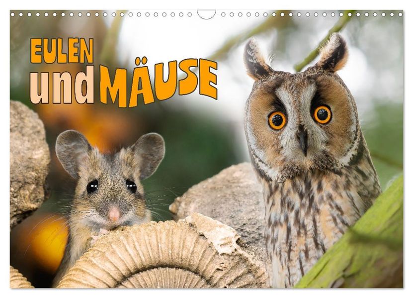 Eulen und Mäuse (Wandkalender 2026 DIN A3 quer) CALVENDO Monatskalender