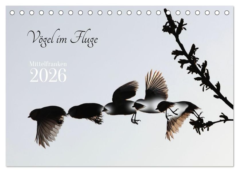 Vögel im Fluge (Tischkalender 2026 DIN A5 quer) CALVENDO Monatskalender