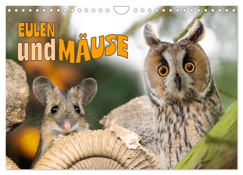 Eulen und Mäuse (Wandkalender 2026 DIN A4 quer) CALVENDO Monatskalender