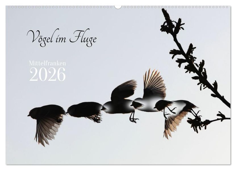 Vögel im Fluge (Wandkalender 2026 DIN A2 quer) CALVENDO Monatskalender