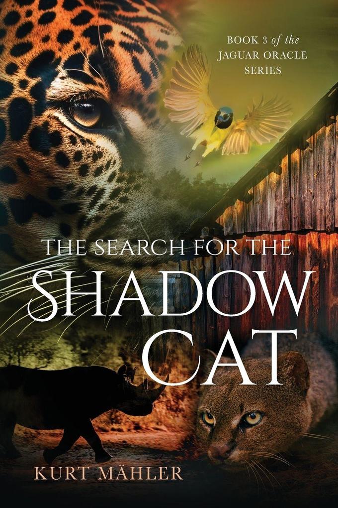 The Search for the Shadow Cat
