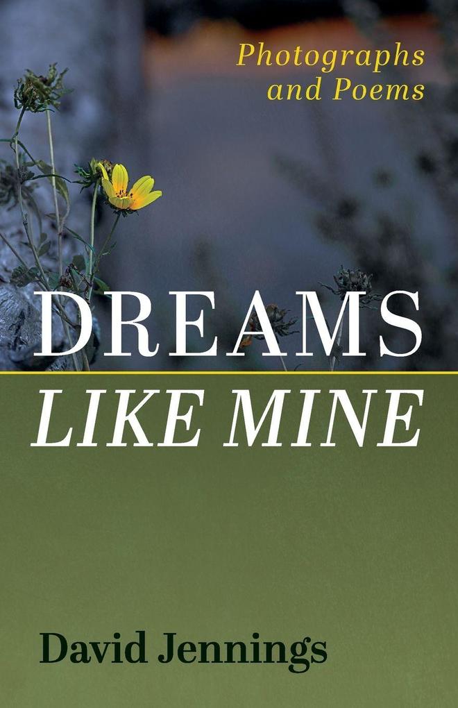 Dreams Like Mine