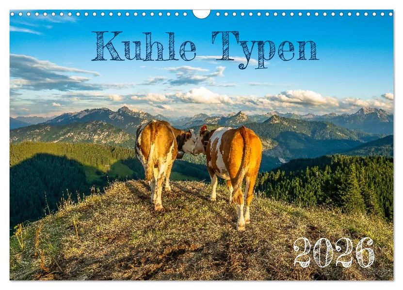 Kuhle Typen (Wandkalender 2026 DIN A3 quer) CALVENDO Monatskalender