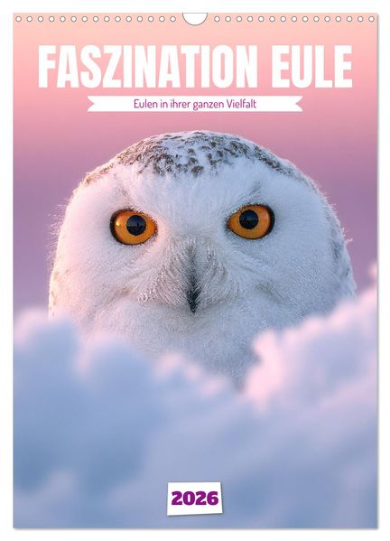 Faszination Eule - Eulen in ihrer ganzen Vielfalt (Wandkalender 2026 DIN A3 hoch) CALVENDO Monatskalender