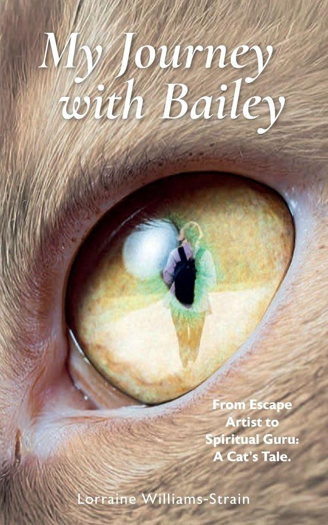 My Journey with Bailey