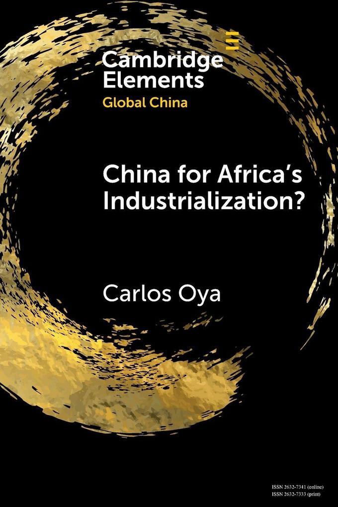 China for Africa's Industrialization?