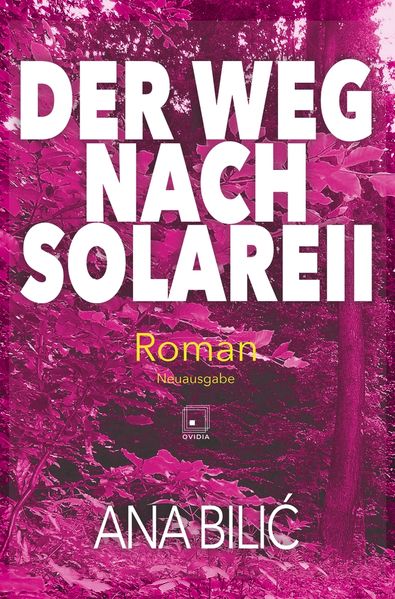 Der Weg nach Solareii