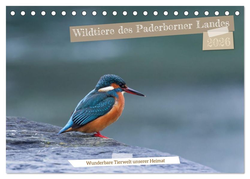 Wildtiere des Paderborner Landes (Tischkalender 2026 DIN A5 quer) CALVENDO Monatskalender
