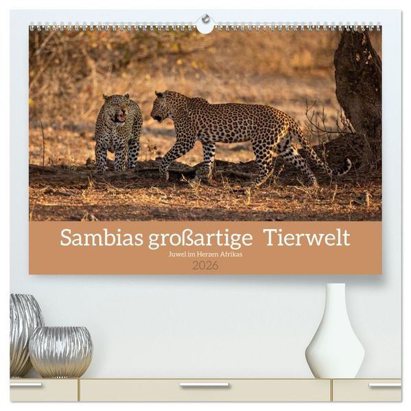 Sambias großartige Tierwelt (hochwertiger Premium Wandkalender 2026 DIN A2 quer) Kunstdruck in Hochglanz