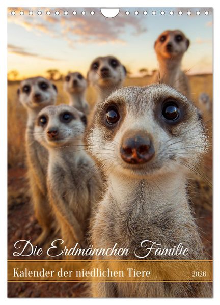 Die Erdmännchen Familie - Kalender der niedlichen Tiere (Wandkalender 2026 DIN A4 hoch) CALVENDO Monatskalender