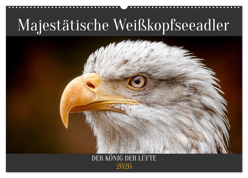 Majestätische Weißkopfseeadler - Der König der Lüfte (Wandkalender 2026 DIN A2 quer) CALVENDO Monatskalender