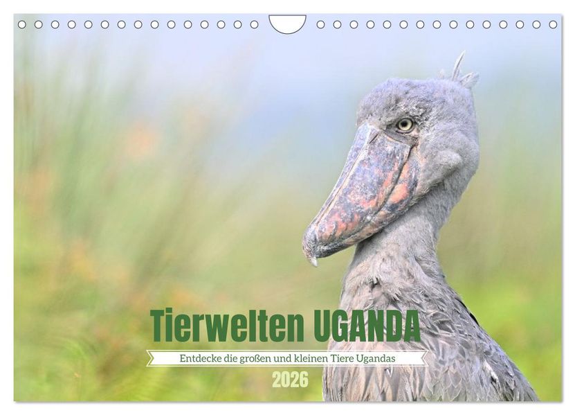 Tierwelten UGANDA (Wandkalender 2026 DIN A4 quer) CALVENDO Monatskalender