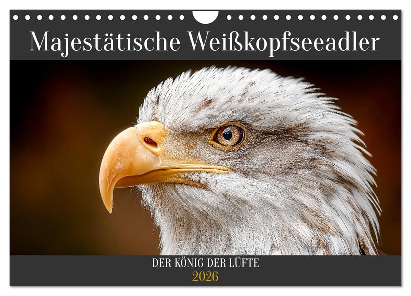 Majestätische Weißkopfseeadler - Der König der Lüfte (Wandkalender 2026 DIN A4 quer) CALVENDO Monatskalender