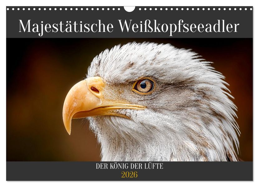 Majestätische Weißkopfseeadler - Der König der Lüfte (Wandkalender 2026 DIN A3 quer) CALVENDO Monatskalender