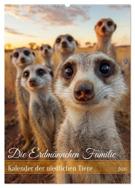 Die Erdmännchen Familie - Kalender der niedlichen Tiere (Wandkalender 2026 DIN A2 hoch) CALVENDO Monatskalender