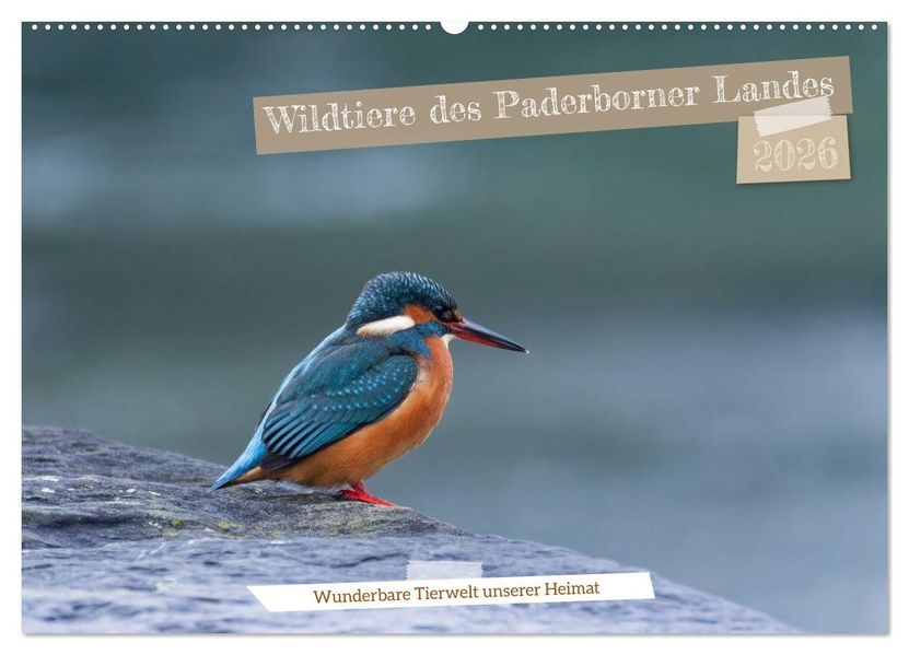 Wildtiere des Paderborner Landes (Wandkalender 2026 DIN A2 quer) CALVENDO Monatskalender