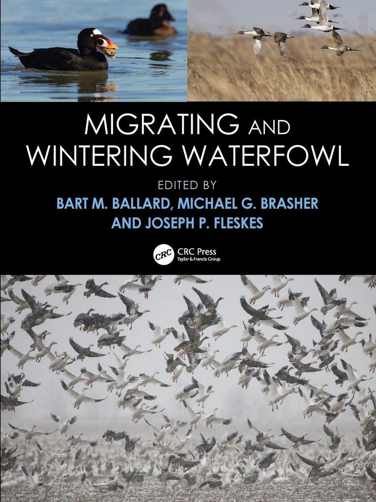 Migrating and Wintering Waterfowl