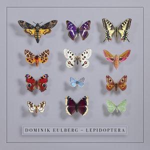 Lepidoptera