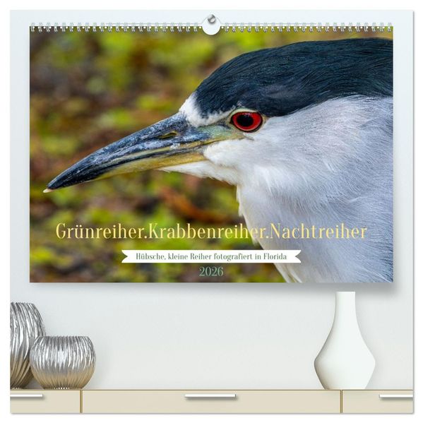 Grünreiher - Krabbenreiher - Nachtreiher (hochwertiger Premium Wandkalender 2026 DIN A2 quer) Kunstdruck in Hochglanz