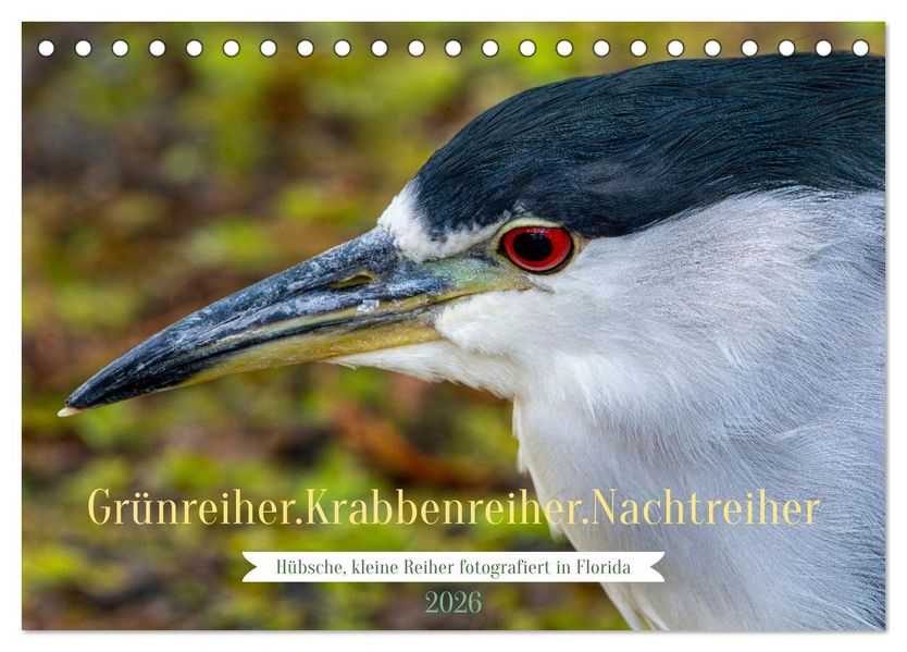 Grünreiher - Krabbenreiher - Nachtreiher (Tischkalender 2026 DIN A5 quer) CALVENDO Monatskalender