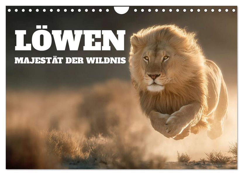 Löwen - Majestät der Wildnis (Wandkalender 2026 DIN A4 quer) CALVENDO Monatskalender