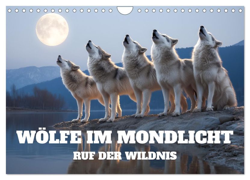 Wölfe im Mondlicht - Ruf der Wildnis (Wandkalender 2026 DIN A4 quer) CALVENDO Monatskalender