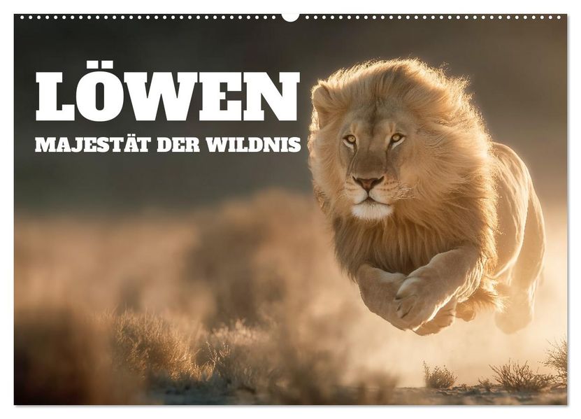 Löwen - Majestät der Wildnis (Wandkalender 2026 DIN A2 quer) CALVENDO Monatskalender