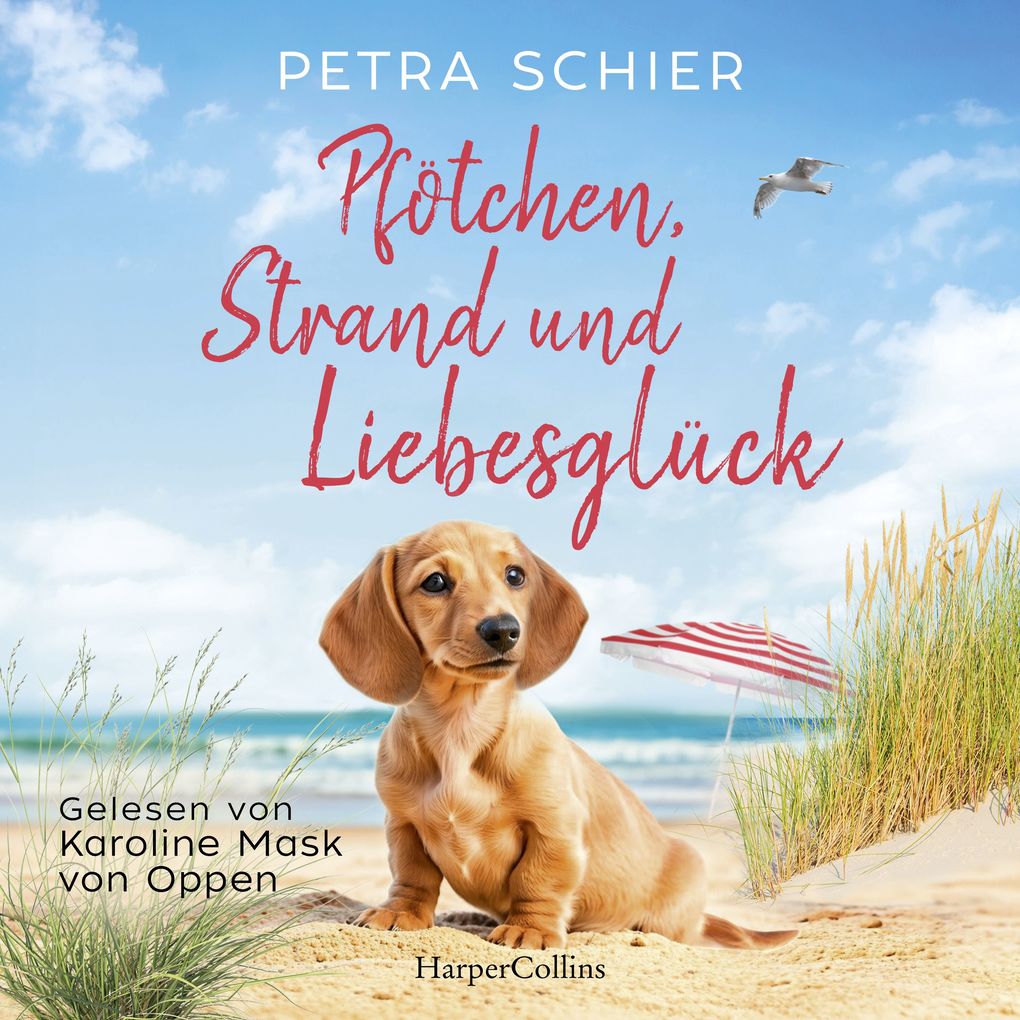 Pfötchen Strand und Liebesglück