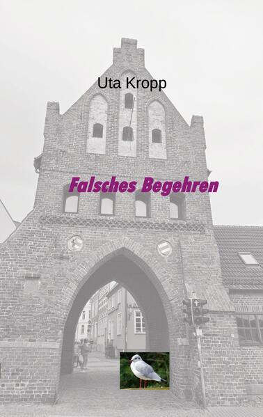 Falsches Begehren
