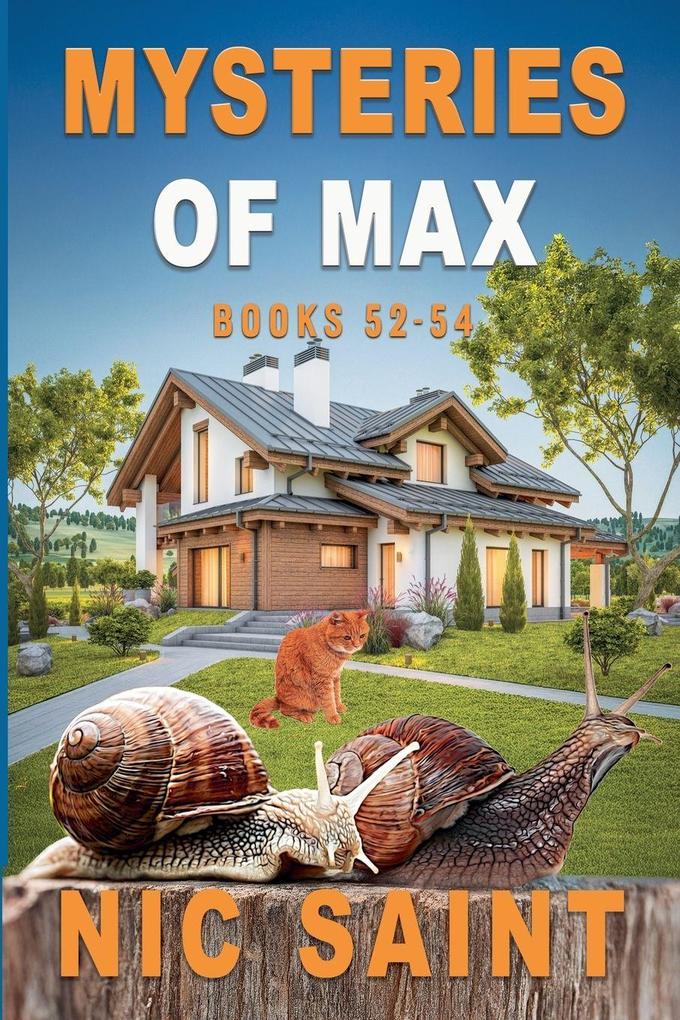 Mysteries of Max