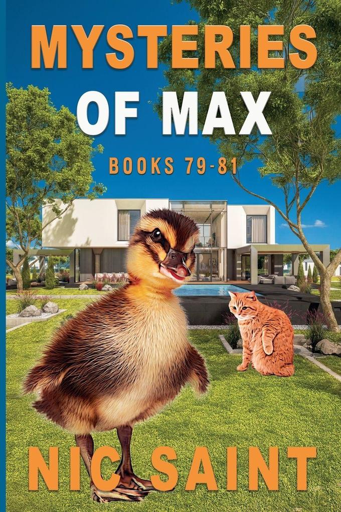 Mysteries of Max