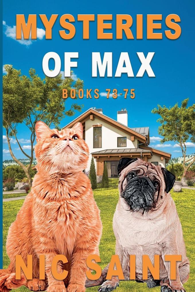Mysteries of Max