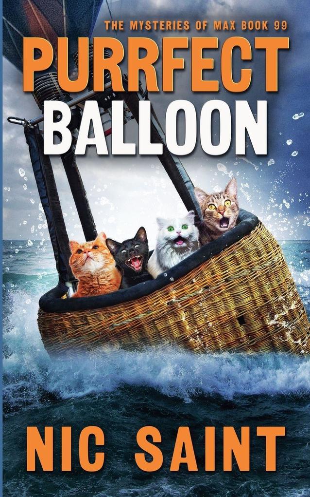 Purrfect Balloon