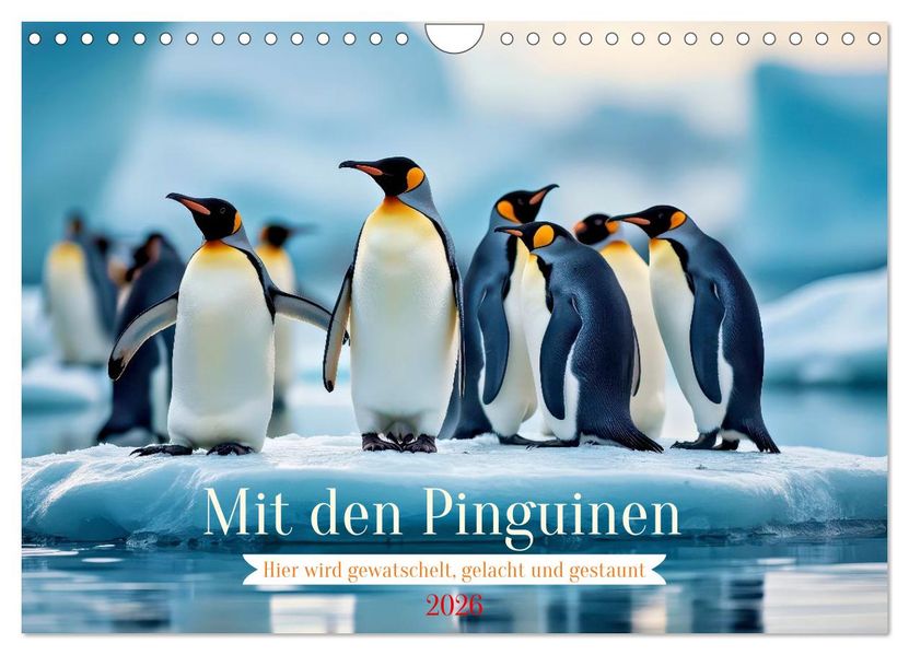 Mit den Pinguinen (Wandkalender 2026 DIN A4 quer) CALVENDO Monatskalender