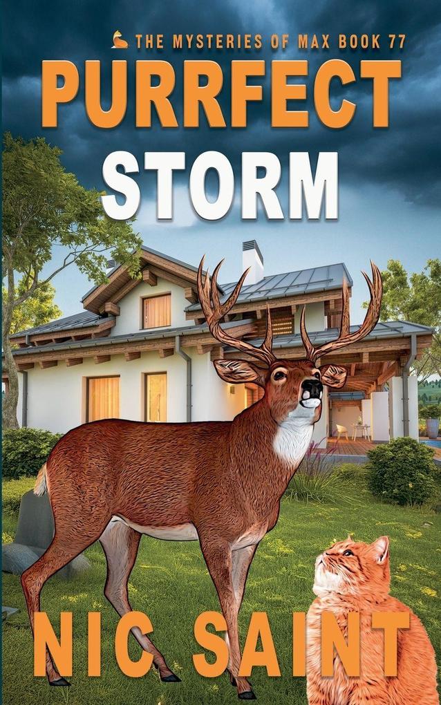 Purrfect Storm