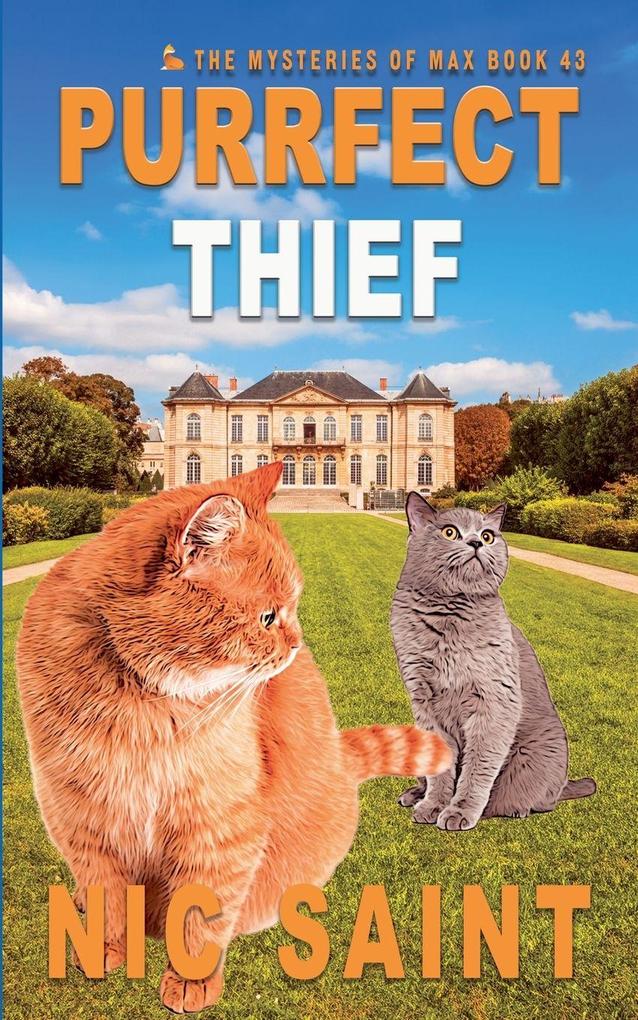 Purrfect Thief