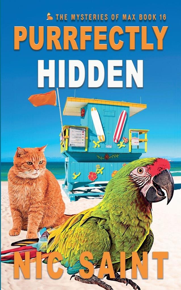 Purrfectly Hidden