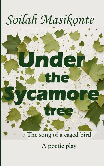 Under the Sycamore tree