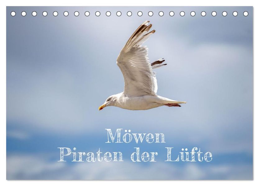 Möwen Piraten der Lüfte (Tischkalender 2026 DIN A5 quer) CALVENDO Monatskalender