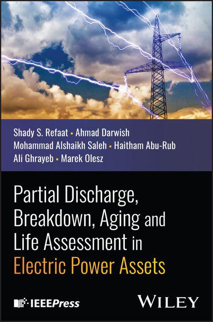 Partial Discharge Breakdown Aging and Life Assessment in Electric Power Assets