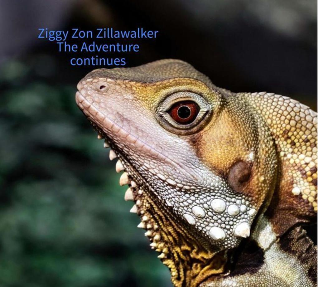 Ziggy Zon Zillawalker The Adventure Continues (Zillawalker adventure #2)