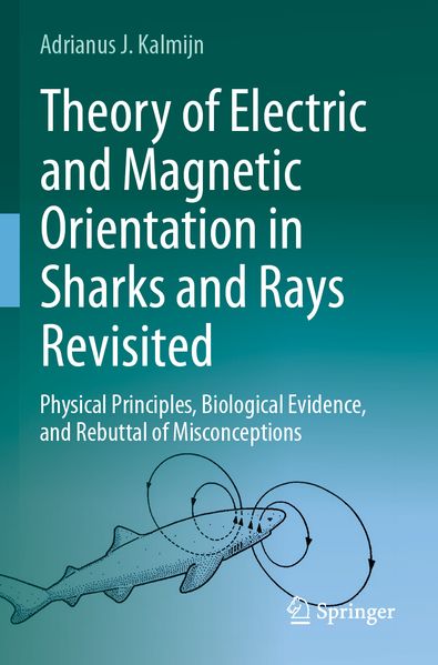 Theory of Electric and Magnetic Orientation in Sharks and Rays Revisited