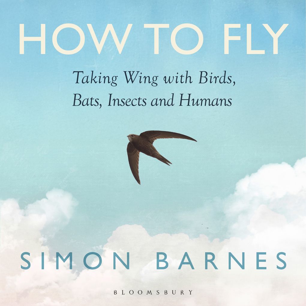 How to Fly
