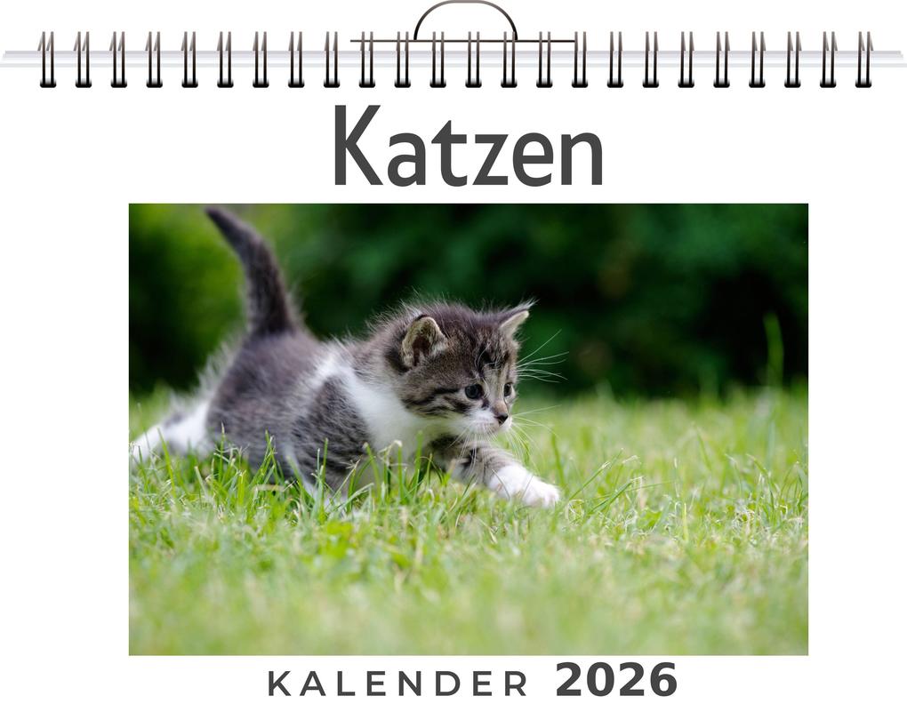 Katzen