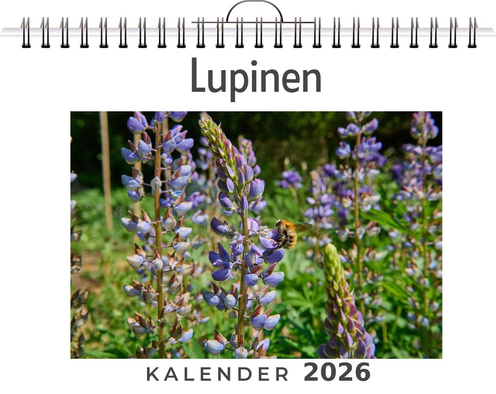 Lupinen