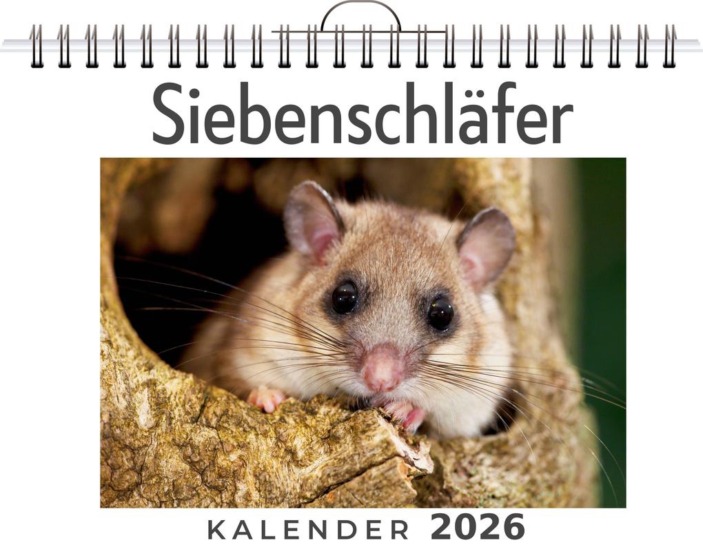 Siebenschläfer